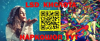 крисы Новозыбков