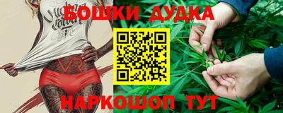крисы Новозыбков