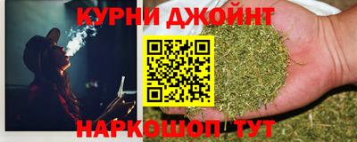 крисы Новозыбков
