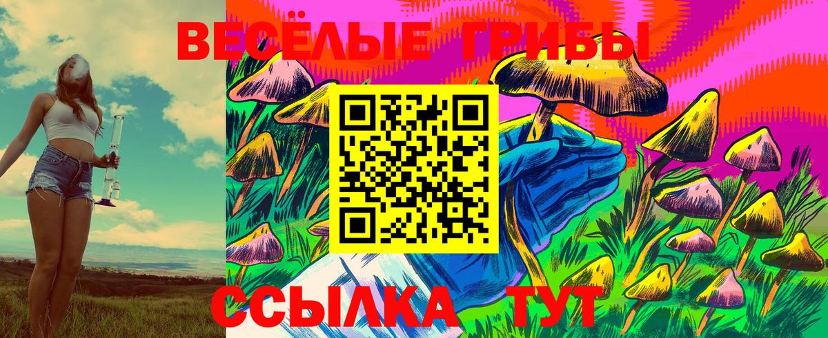 Псилоцибиновые грибы MAGIC MUSHROOMS Скопин