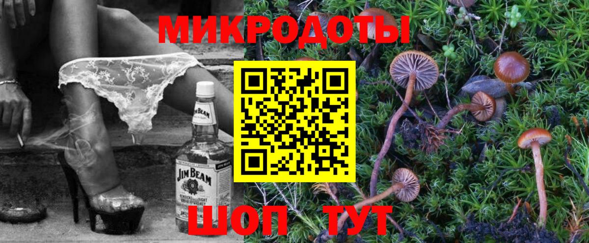 Псилоцибиновые грибы GOLDEN TEACHER  Вход с VPN  Псилоцибиновые грибы Psilocybe  Скопин 
